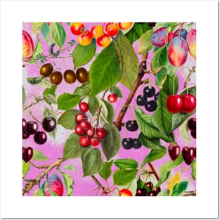 Exotic tropical floral leaves and fruits, botanical pattern, tropical plants, pink fruit pattern over a Posters and Art